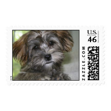 Untitled Postage