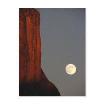Untitled Postcard