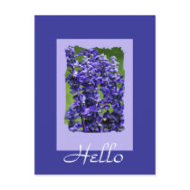 Untitled Postcard