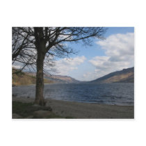 Untitled Postcard
