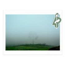 Untitled Postcard postcards