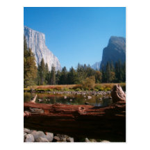 Untitled Postcard