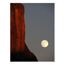 Untitled Postcard