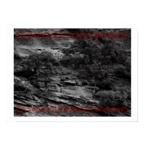 Untitled posters