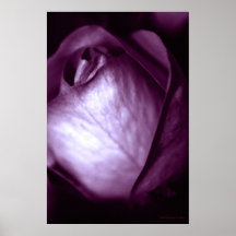 Untitled Poster