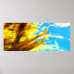 Untitled Print