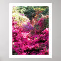 UNTITLED posters