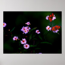 Untitled Poster