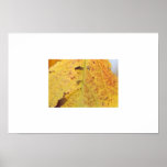 untitled posters