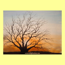 Untitled Poster posters