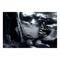 untitled posters by HAJenkins untitled posters