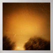 Untitled posters