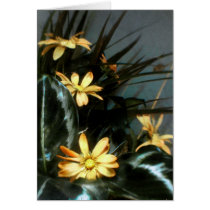 untitled TTV card by kklawiter untitled TTV card
