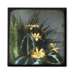 untitled TTV magnets