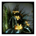untitled TTV poster posters