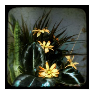 untitled TTV poster by kklawiter