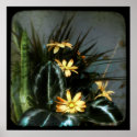 untitled TTV poster posters
