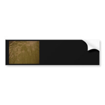 Untouched Blizzard Photography 2 ( snowstorm) Bumper Sticker