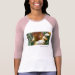 Ladies 3/4 Sleeve Raglan (Fitted)