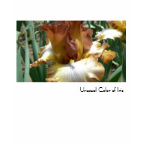 Unusual Color of Iris t-shirts