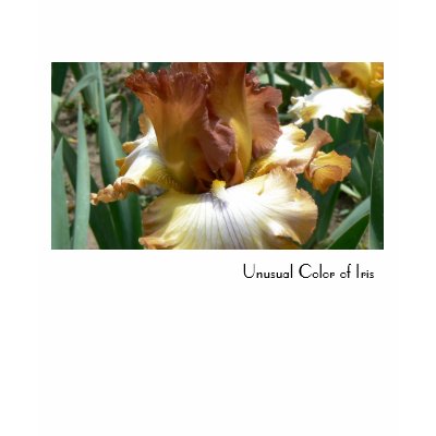 Unusual Color of Iris Tee Shirt by codfishlady
