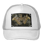Unusual Moth Baseball Hat