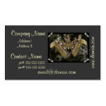 Unusual Moth Business Card