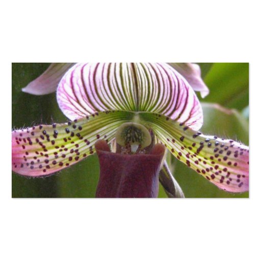 Unusual Orchid Business Cards (back side)