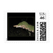 Unusual Vegetation in the Woods. Postage Stamps