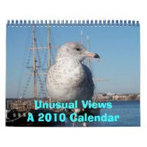 Unusual Views, A 2010 Calendar by ruthling Unusual Views, A 2010 Calendar