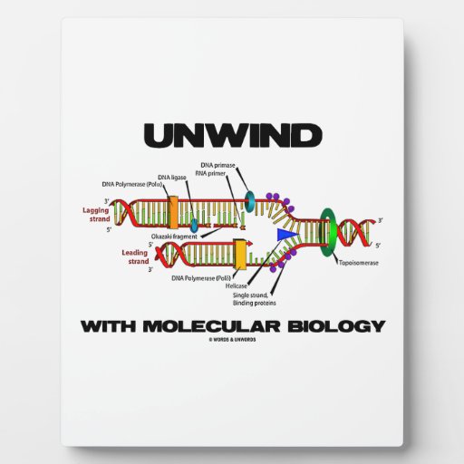 Molecular Biology Plaques Molecular Biology Photo Plaques