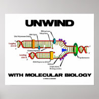 Unwind With Molecular Biology (DNA Replication) Print