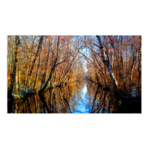 Up A Carolina Creek Poster posters