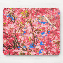 Up a Pink Red Dogwood Tree Mouse Pads