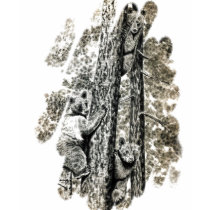 Up a tree T-Shirt