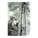 Up a TreePoster posters