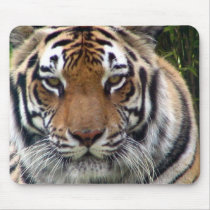 Up close and personal mousepads by dduhaime55 Up close and personal mousepads
