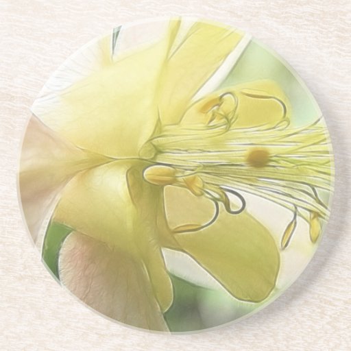 Up Close - Columbine Bloom! Drink Coaster