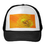 Up Close - Iceland Poppy Hat