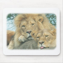 up close lions mousepads by Ceyzpurplestang up close lions mousepads