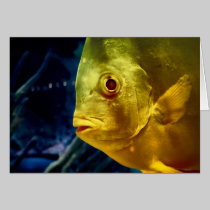 Up from the Deep cards