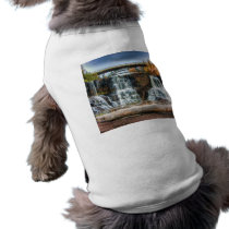 Up Gooseberry Falls Pet Clothing
