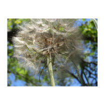 Up in the Sky Salsify Large Posters and Prints
