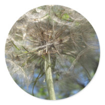 Up in the Sky Salsify Stickers