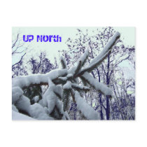 Up North Postcard