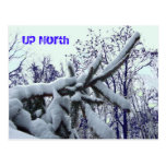 Up North Postcard