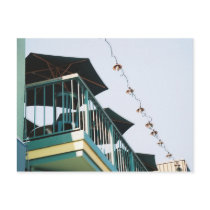 Up on a rooftop postcards by kmk101773 Up on a rooftop postcards