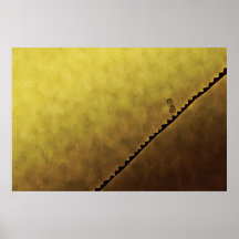 Up or Down Print