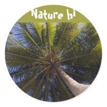 up the coconut tree stickers