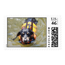 Up The River Postage Stamp